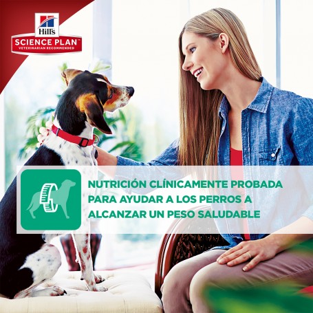 La mejor calidad en Hill's Science Plan Perfect Weight Canine Latas