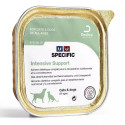 Recuperación y primeros auxilios perro