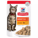 Comida húmeda gatos