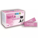 Leche gatitos