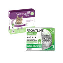 Pipetas gatos