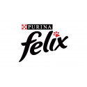 Félix-