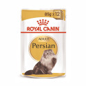 Royal canin razas comida húmeda gato