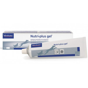 Complementos dietéticos gato