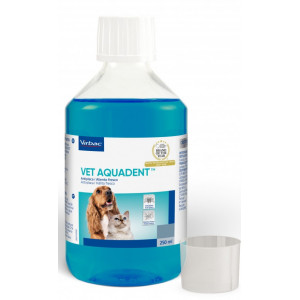 Salud bucodental gato
