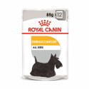 Royal Canin Care Húmedo Perro