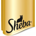 Sheba-