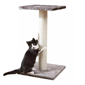 Rascadores gato