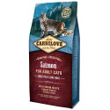 Carnilove Pienso para Gatos