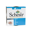 Schesir Gato