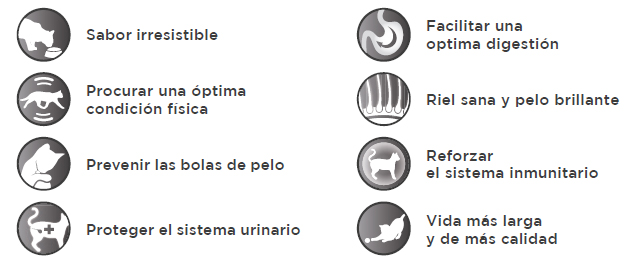 Beneficios funcionales pienso Máxima Gatos