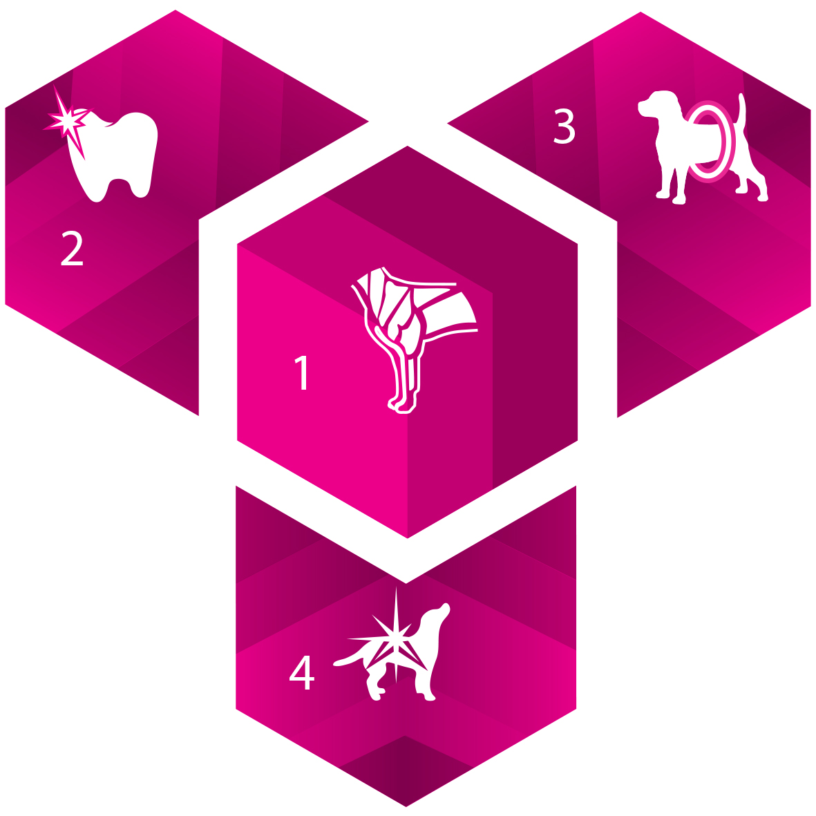 Caracteristicas_Eukanuba_Adult_Small_Breed