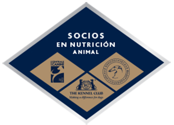 Sociedades