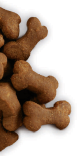 Hills_Prescription_Diet Hypoallergenic Treat