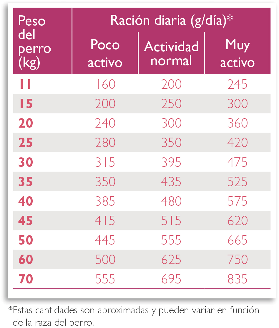 Pienso para perro Virbac Adult Large Medium - Racion