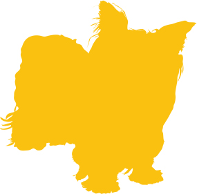 Silueta
