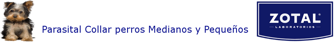 CabeceraParasitalperrosMedianosPequeños