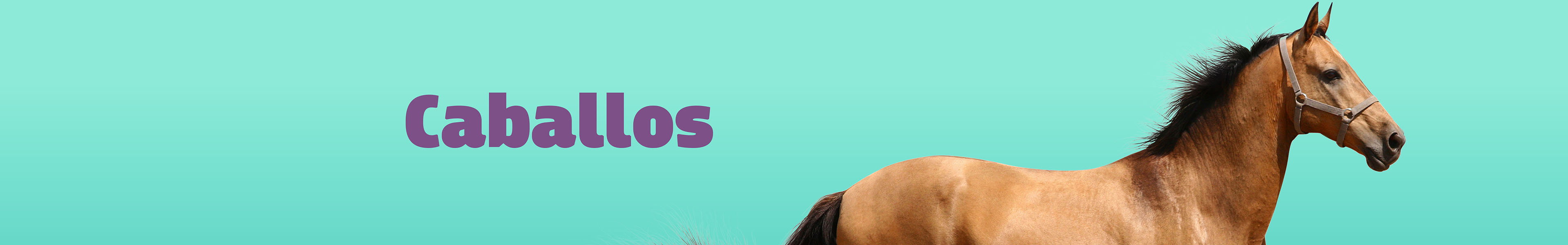Caballos