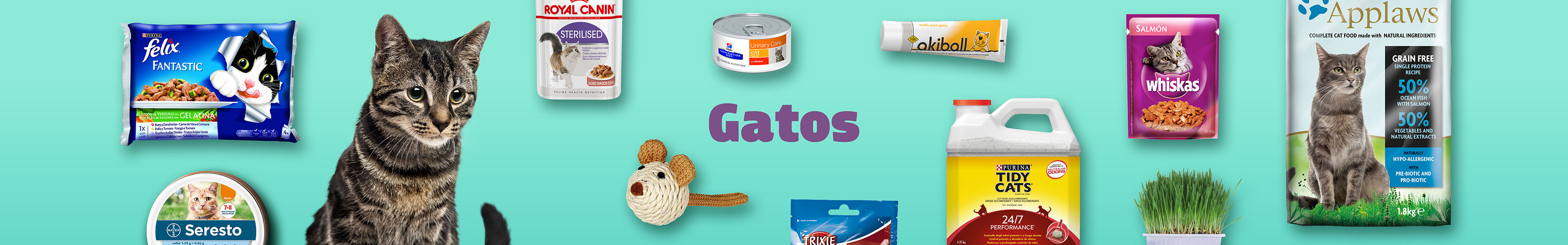 Gatos