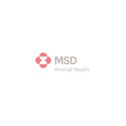 Msd