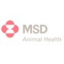 Msd