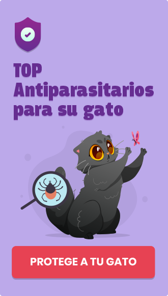 antiparasitarios-gato