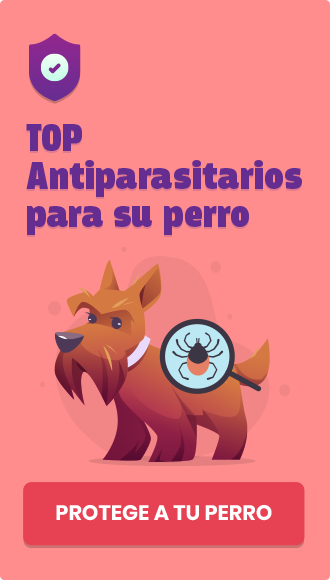 antiparasitarios-perro