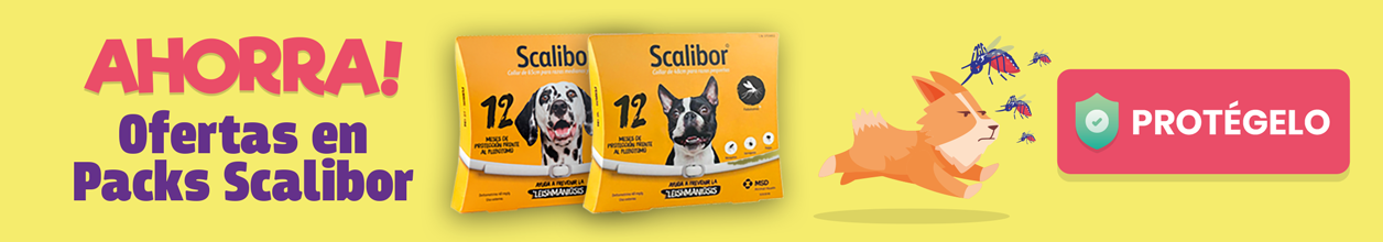 PYM CampanaAntiparasitarios2024 Scalibor