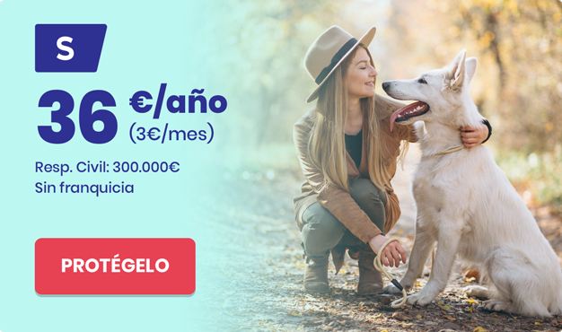 seguro 36€