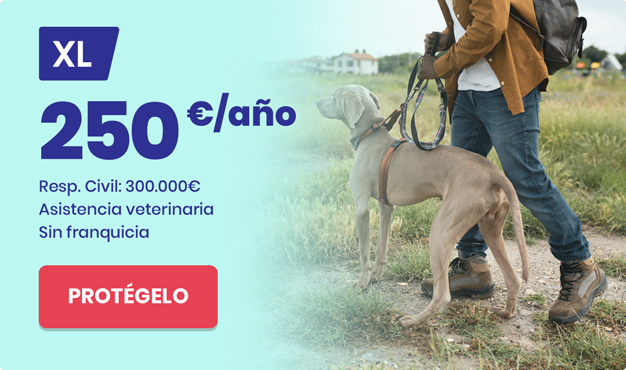 seguro 250€
