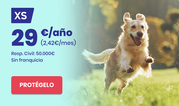 seguro 29€