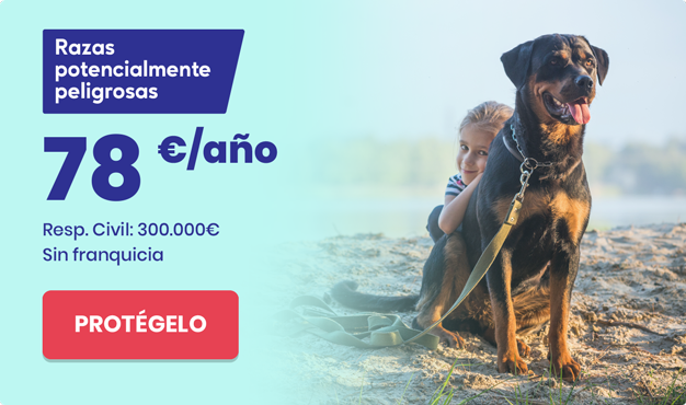 seguro para perros de razas peligrosas