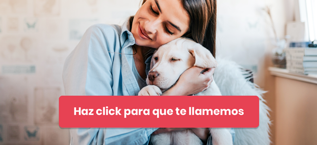 seguros de resposanbilidad civil