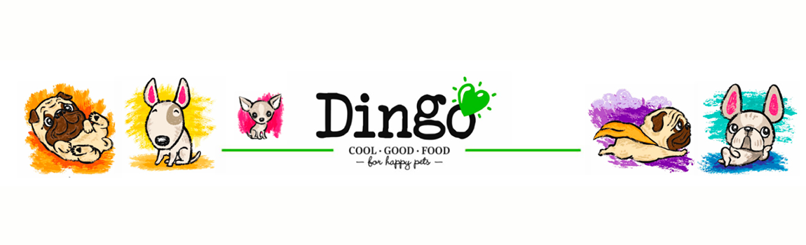 Dingo-0