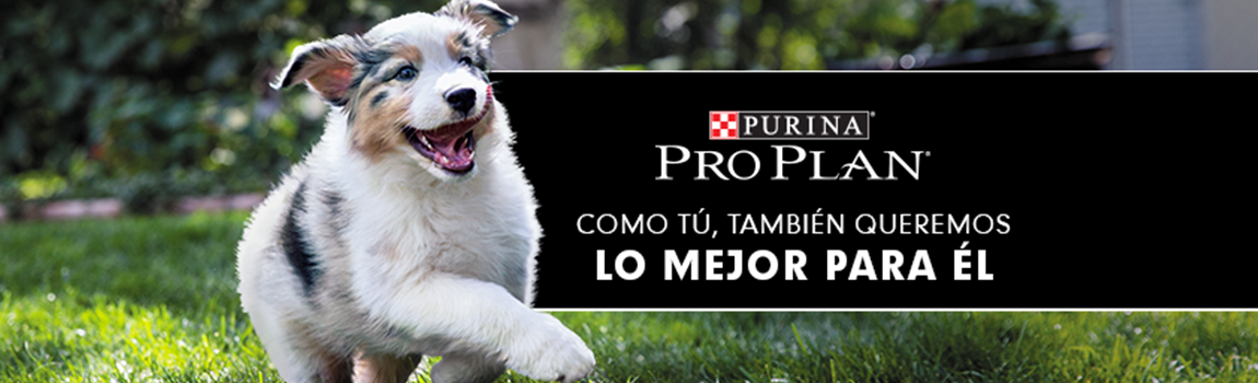Purina pro plan-0