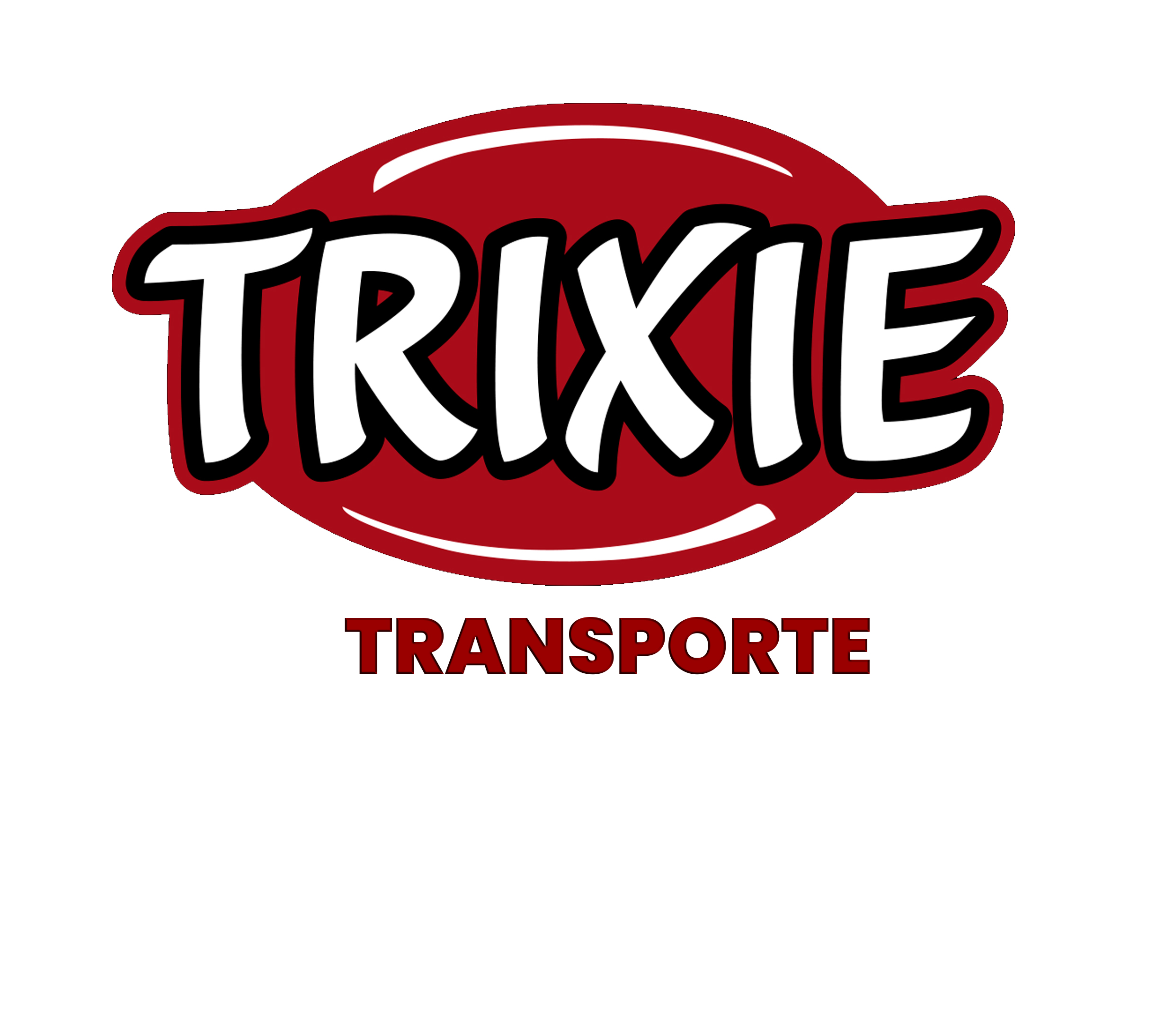 Transporte