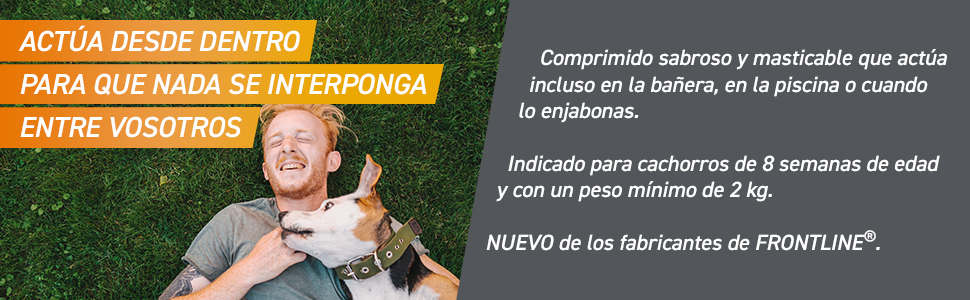 Frontpro-4