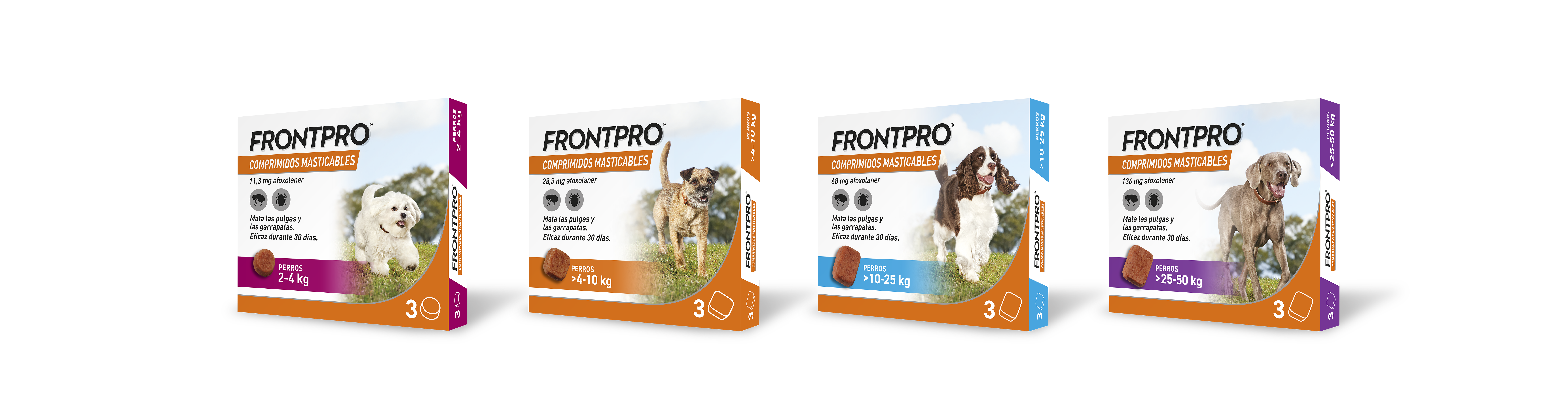 Frontpro-1